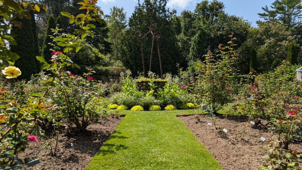 Formal Rose Garden with mowed lawn paths.
