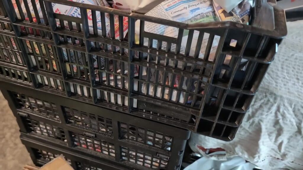 dahlias stored in crates