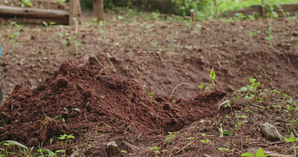 Small trench dug in a garden.